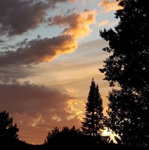 Meet your Posher, Larissa